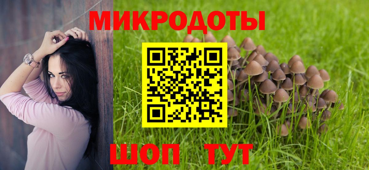 Галлюциногенные грибы Cubensis Полысаево